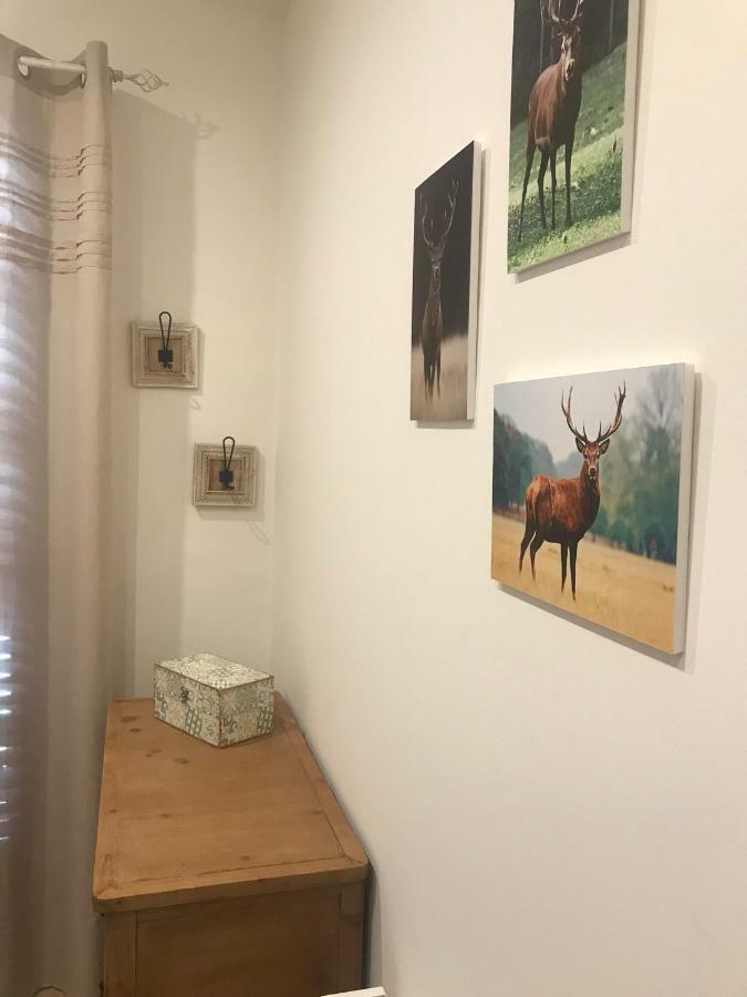 Apartament Neret II Sort Eksteriør bilde